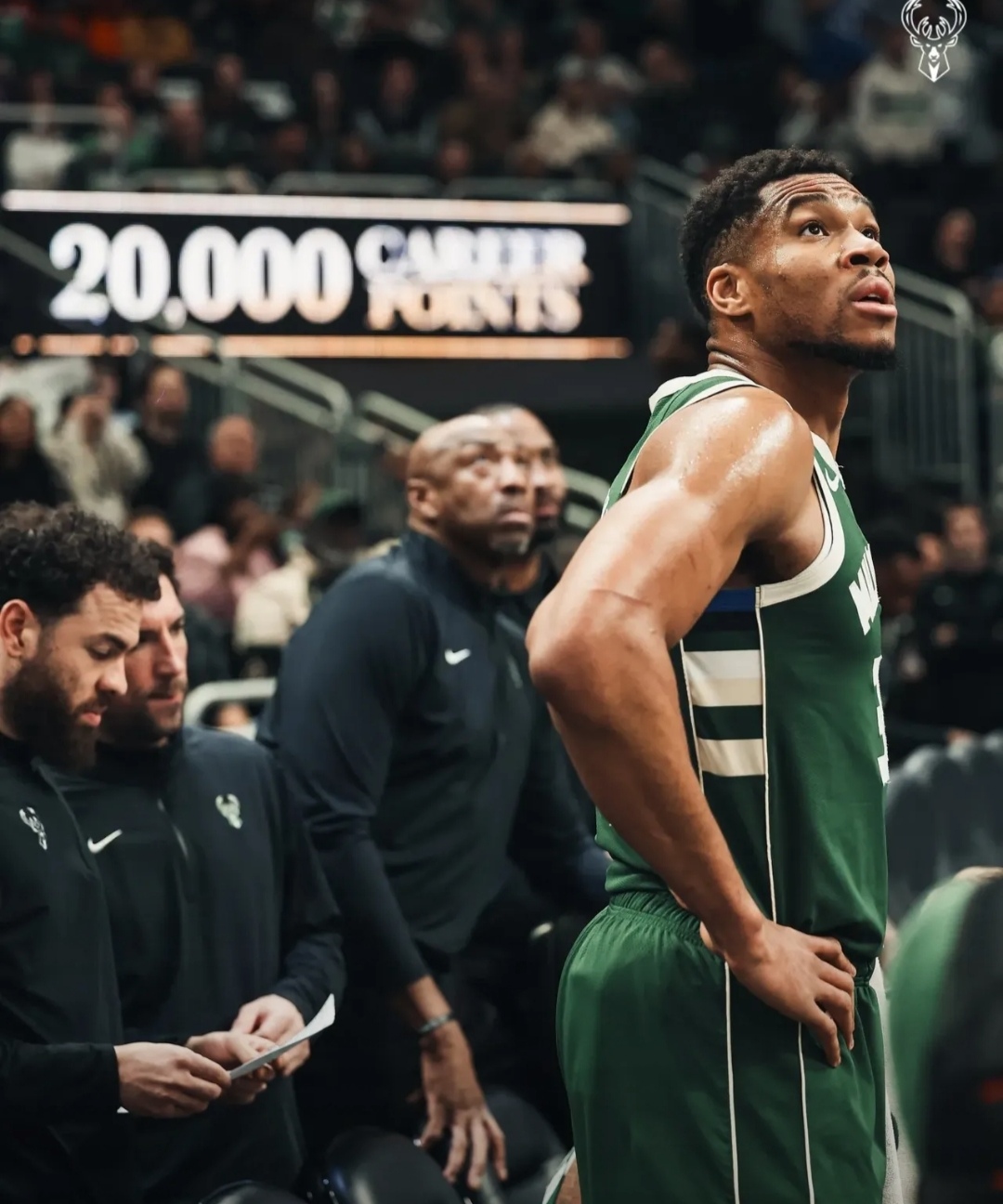 字母哥新星比分优势明显表现惊艳，勇士未来可期！